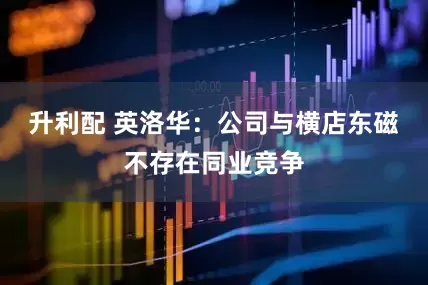 升利配 英洛华：公司与横店东磁不存在同业竞争