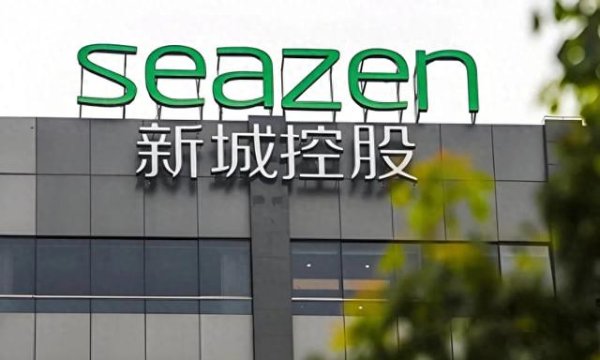 盒马配资 新城控股开启了, 民营房企发展的新路