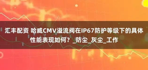 汇丰配资 哈威CMV溢流阀在IP67防护等级下的具体性能表现如何？_防尘_灰尘_工作
